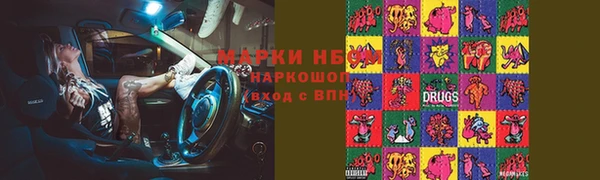 индика Алзамай