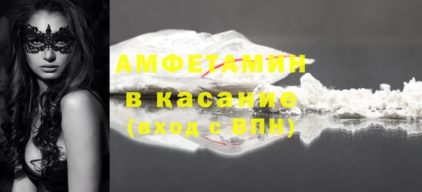 шишки Аркадак