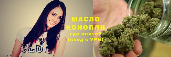 шишки Аркадак