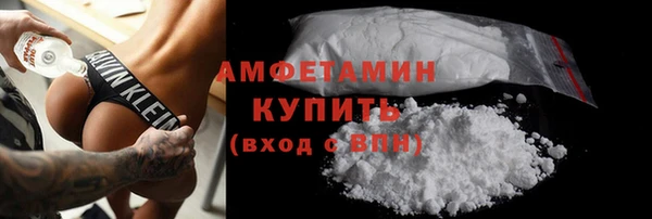 шишки Аркадак