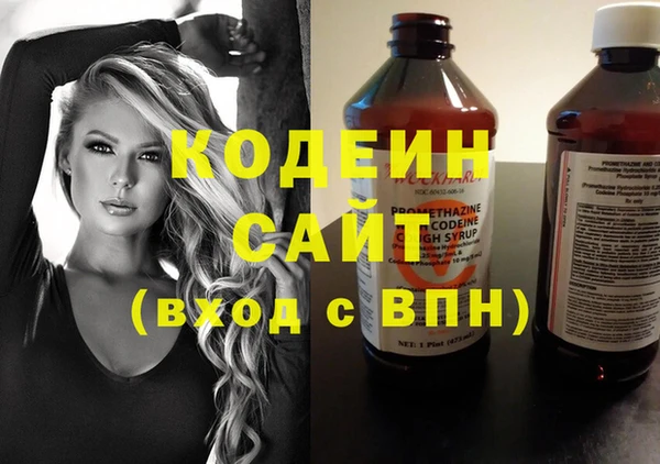 шишки Аркадак