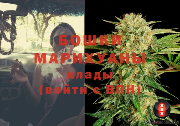 шишки Аркадак