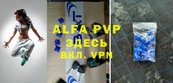 шишки Аркадак